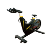 TK7-ZF7100	Magnetic control bike - 图片 2