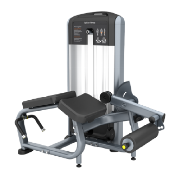 TK3-FF01	Prone Leg Curl