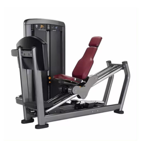 TK17-801	Seated leg press machine