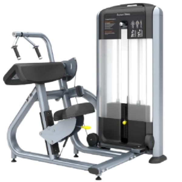TK3-FF28	Triceps Extension at 45 Degrees