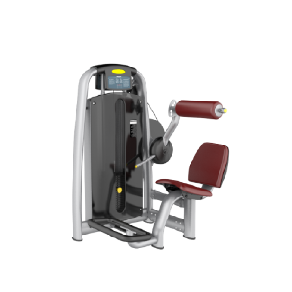 TK3-AN19	Lower Back Extension Trainer