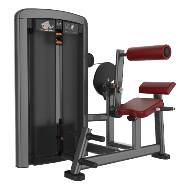 TK7-L1031	Back extension trainer