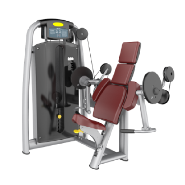 TK3-AN25	Arm Curl Trainer