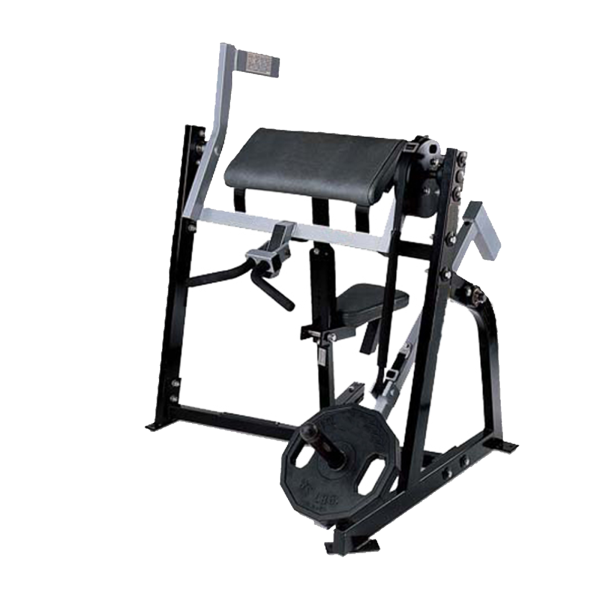 TK15-H74	Seated biceps