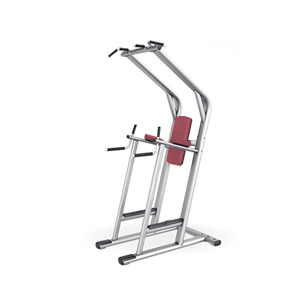 TK7-L1048	Parallel bars and leg lift abdominal combo trainer