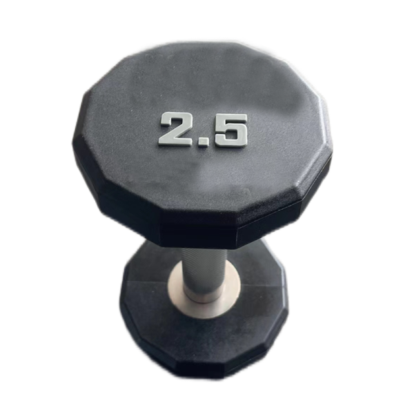 TK4-A076	Hummer Twelve-Sided PU Dumbbell