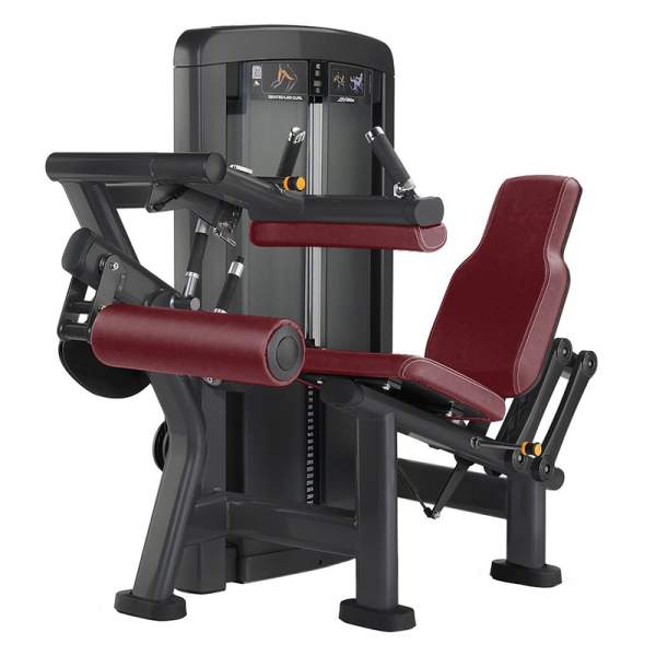 TK17-805	Seated leg curl machine