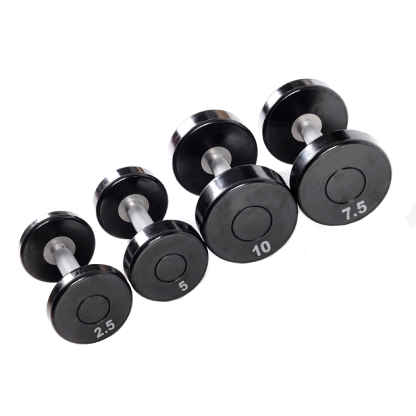 TK4-A005	LifeFitness CPU Round Steel Dumbbell (kg)