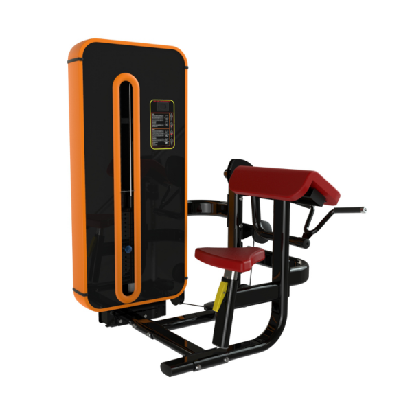 TK5-Y-2006	Bicep Curl Machine