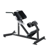 TK15-H117	 Back Extension - 图片 2