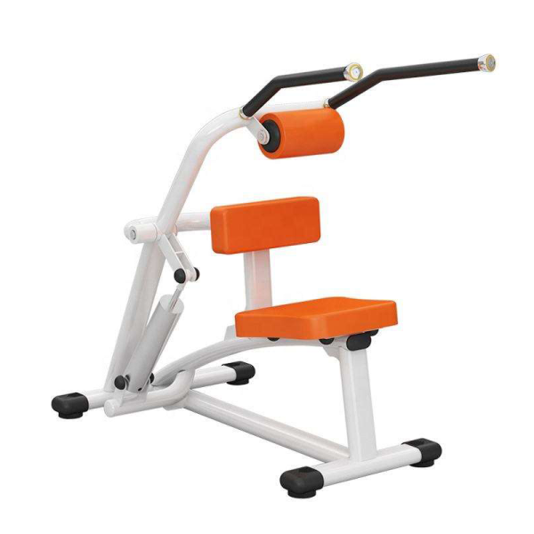 TK3-H09	Back Extension Trainer