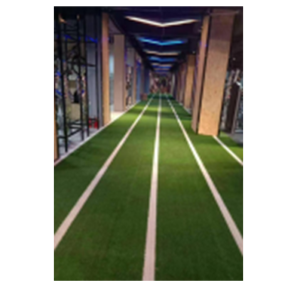 TK29-A48	Running Track Artificial Turf