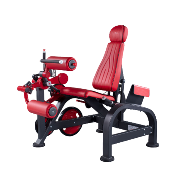 TK16-PT097	Dual-Function Leg Training