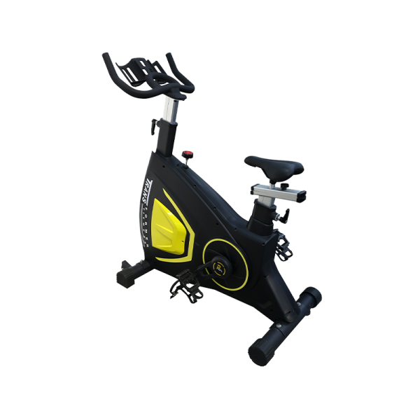 TK7-ZF9800	New magnetic control bike