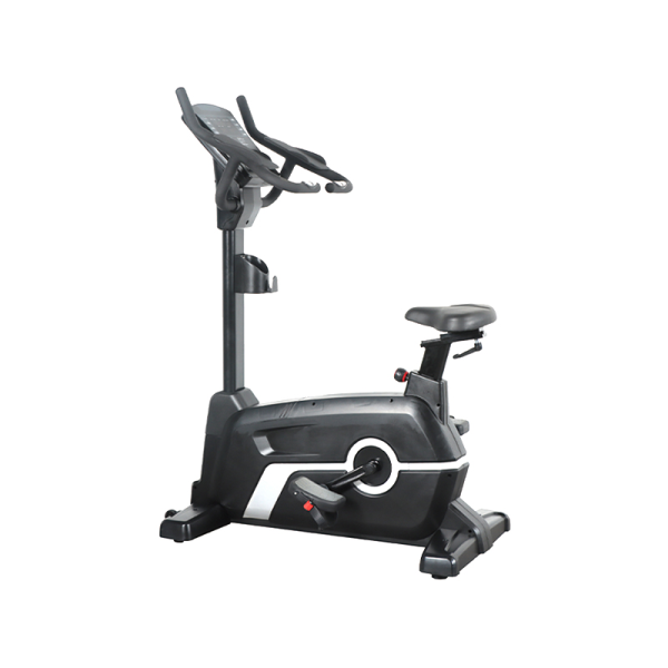 TK7-ZF9400	Vertical magnetic control bike