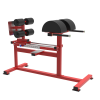 TK5-H98	Hyperextension Machine - 图片 2